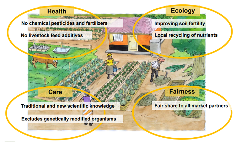 Principles of Organic Agriculture