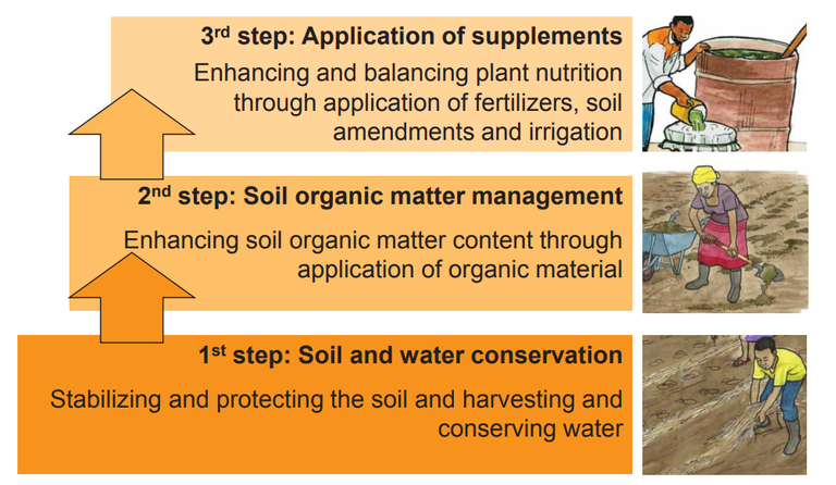 Three steps of organic soil fertility management.png